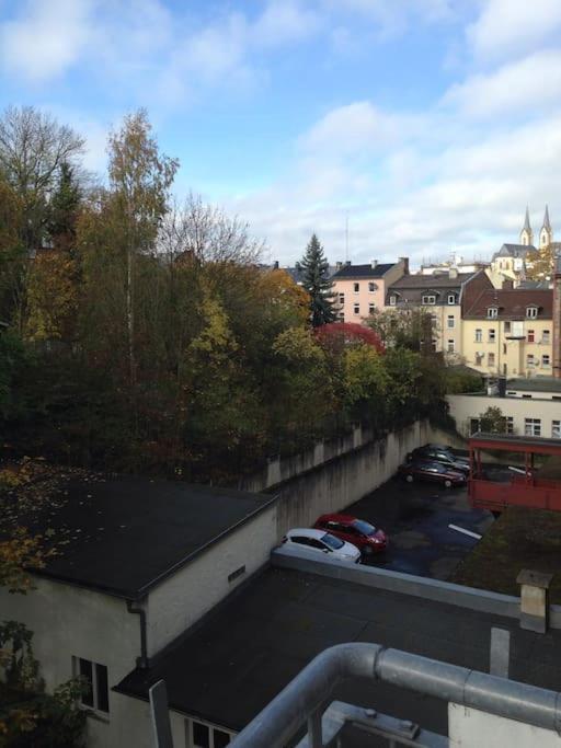 Schoenes City-Apartment Im Zentrum Mit Balkon Хоф Экстерьер фото